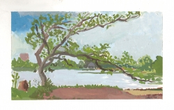 https://blakelarue.com/files/gimgs/th-5_prospect park.jpg